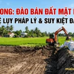 vinh-long-khai-thac-dat-trai-phep